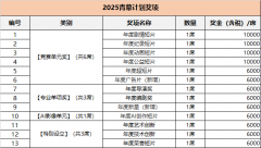 2025搜狐青幕打算评审流程分审